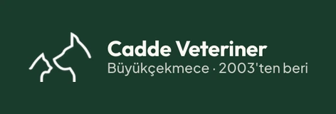 Cadde Veteriner