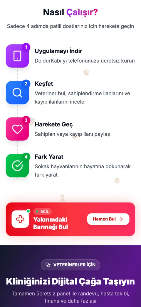 DoldurKabı sitesi telefonda: nasıl çalışır bölümü